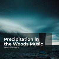 Thunderstorms, Sounds Of Rain & Thunder Storms, Rain Thunderstorms - Precipitation in the Woods Music