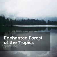 Forest Sounds, Ambient Forest, Rainforest Sounds - Enchanted Forest of the Tropics