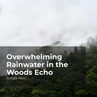 Jungle Rain, Nature and Rain, Deep Rain Sampling - Overwhelming Rainwater in the Woods Echo