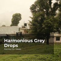 Rainfall for Sleep, Rain Shower, Rain Man Sounds - Harmonious Grey Drops