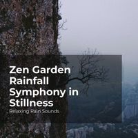 Relaxing Rain Sounds, Rain for Sleep, Rain Drops for Sleep - Zen Garden Rainfall Symphony in Stillness
