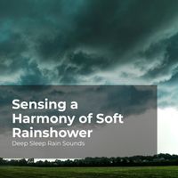 Deep Sleep Rain Sounds, Rain Meditations, Rain Sounds Collection - Sensing a Harmony of Soft Rainshower
