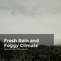 Nature Rain Relaxation, Rain Recorders, Rainfall - Fresh Rain and Foggy Climate
