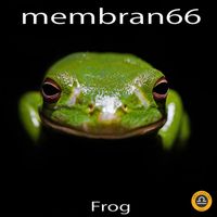 membran 66 - Frog