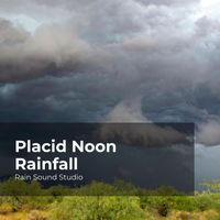 Rain Sound Studio, Meditation Rain Sounds, The Rain Library - Placid Noon Rainfall