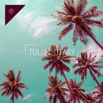 Various Artists - Voltaire Music Pres. The Tulum Diary 2024