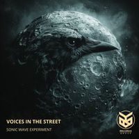 Sonic Wave Experiment - Voices in the Street
