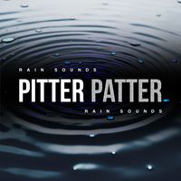 Rain Sounds - Pitter Patter