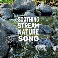 Natural Scenic Vibes - Soothing Stream Nature Song