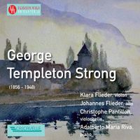 Klara Flieder, Christophe Pantillon & Adalberto Maria Riva - George Templeton Strong