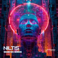 Niltis - Dreamstate Thinking