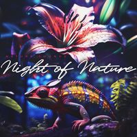 Nature Sounds - Night of Nature
