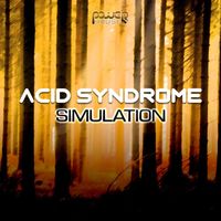 Acid Syndrome - Simulation