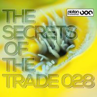 Various Artists - The Secrets Of The Trade 028