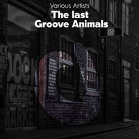 Various Artists - The last groove Animals (Explicit)