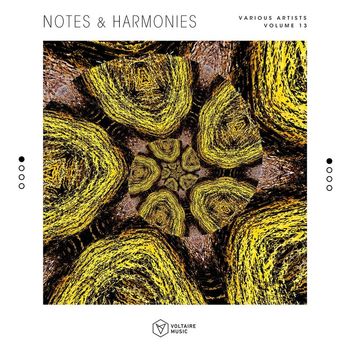 Various Artists - Notes & Harmonies, Vol. 13