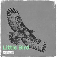 ME|MAN - Little Bird