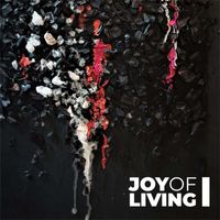 DRiivE - Joy of Living