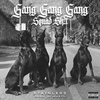 Stainless - Gang Gang Gang Squad Shit (ThisOnes4MyDawgs) (Explicit)
