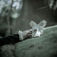 Ulmus - Heimdall /trio