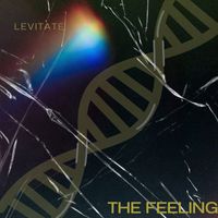 Levitate - The Feeling