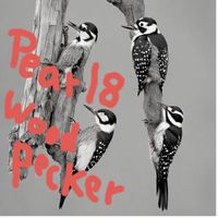 Pearl8 - Woodpecker