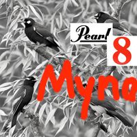 Pearl8 - Myna