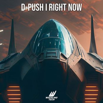 D-Push - Right Now (Techno Version)