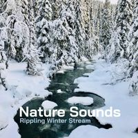 Nature Sounds - Rippling Winter Stream