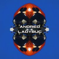 Andreo - Ladybug