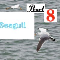 Pearl8 - Seagull