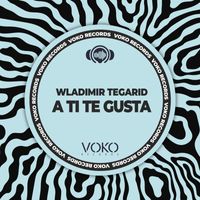 Wladimir Tegarid - A Ti Te Gusta