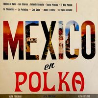 Mariachi Los Palmeros De Ramiro Jauregui - México en Polka