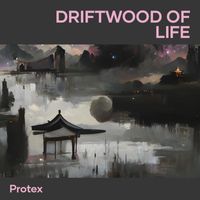 Protex - Driftwood of Life