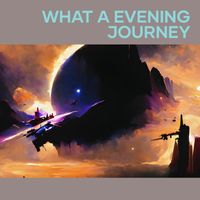 Dandi - What a Evening Journey