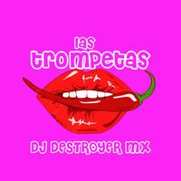 DJ DESTROYER MX - Las trompetas guaracha aleteo (remezcla)