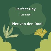 Piet van den Dool - Perfect Day