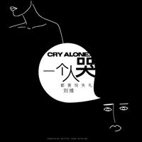 刘维 - 一个人哭