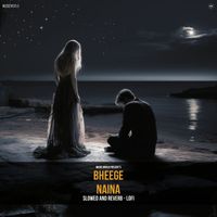 Music World - Bheege Naina (Slowed and Reverb - Lofi)