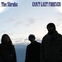 The Shrubs - Can't Last Forever