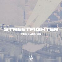 Precursor (NL) - Streetfighter