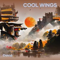David - Cool Wings