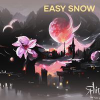 Didi - Easy Snow