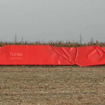 Ashinoa - L'Orée