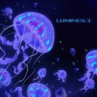 Gavin Leeper & Evan Perry - Luminesce