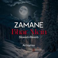 Ali Hamza - Zamane Bhar Mein Lofi