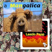 Laszlo Papp - A Mangalica