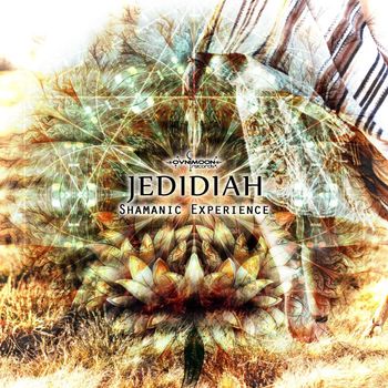 Jedidiah - Shamanic Experience