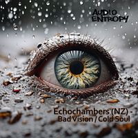 Echochambers - Bad Vision / Cold Soul