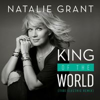 Natalie Grant - King Of The World (Tide Electric Remix)